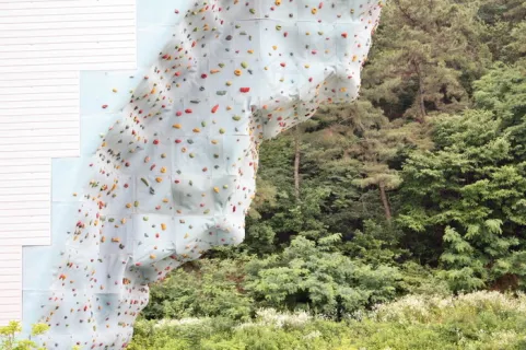 网赌龙虎斗：第47天 朋友带我刷流水撸彩金，最后却输了20多万！