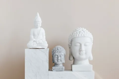 金星娱乐：如何评价金星？