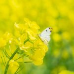 皇家88娱乐平台全新上线，注册即享超高回报，机会不容错过！